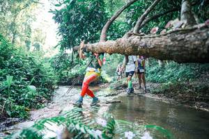 BIB: 
                            <button type="button" onclick="openModal(25441068)" class="btn btn-primary btn-sm float-right btn-popup" data-toggle="modal" data-target=".modal-high-quality">
                        <i class="fas fa-shopping-cart"></i> Add to Cart
                    </button>
                                            <button type="button" onclick="isThisMe(25441068, true)" class="btn btn-success btn-sm float-right btn-popup btn-isme hidden" data-toggle="tooltip" data-placement="bottom" title="นี่คือรูปของคุณใช่ไหม คลิกที่นี่เพื่อเอาเข้าอัลบั้ม">
                        <i class="fas fa-plus"></i> Add to album
                    </button>
                    <button type="button" onclick="isThisMe(25441068, false)" class="btn btn-warning btn-sm float-right btn-popup btn-isnotme hidden">
                        <i class="fas fa-ban"></i> Remove from album
                    </button>